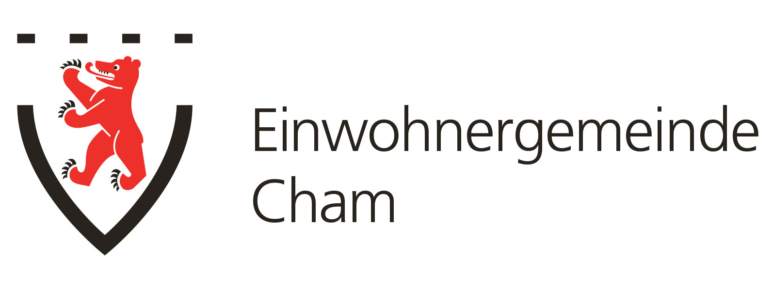 Gemeinde Cham - Chlausvolley Turnier Cham